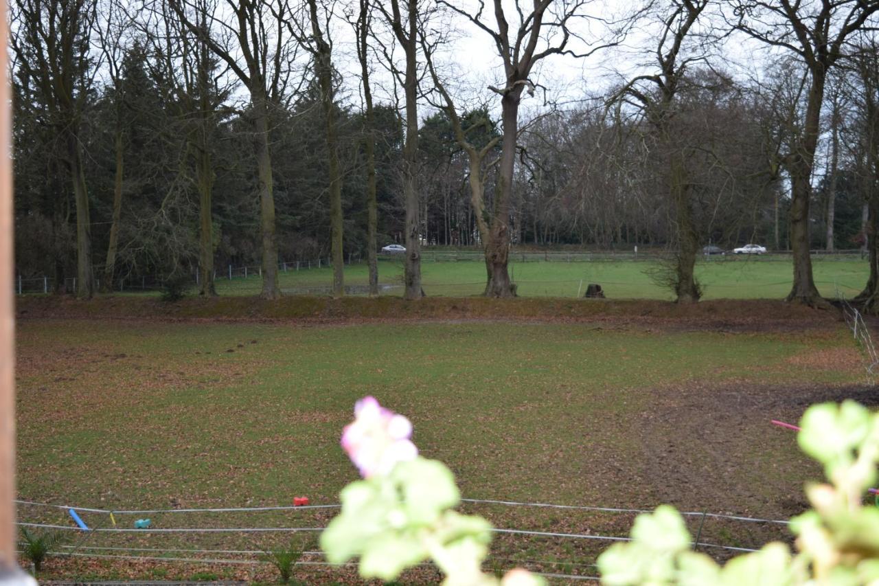 Chez Kate Et Lolo Bed and Breakfast Senneville-sur-Fécamp Eksteriør billede